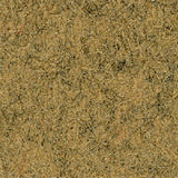 blazer-1855.jpg